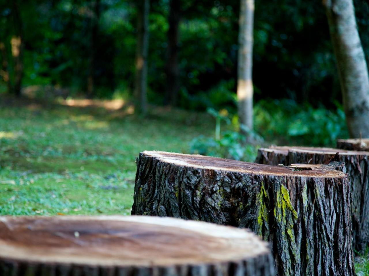 Andelomi Nature'S Rest Stormsrivier Kültér fotó